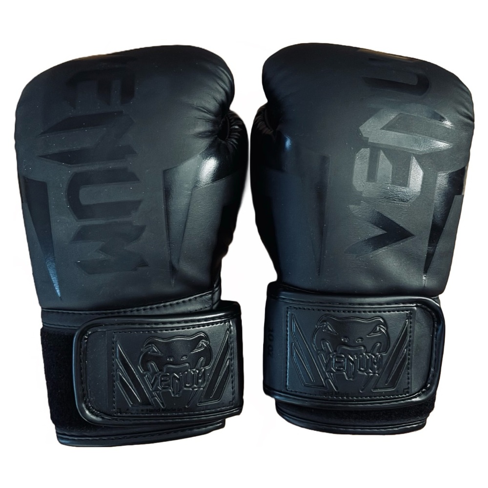 10 oz Venom Boxing Gloves